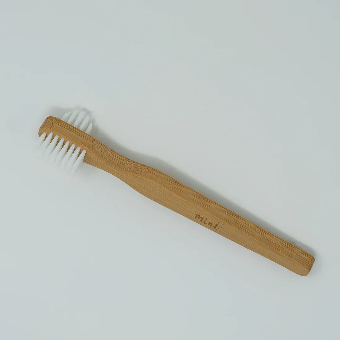 Cleaning Brush