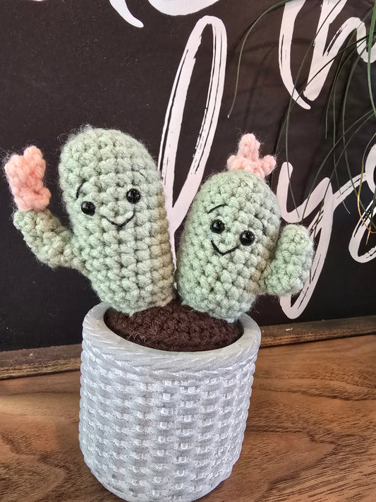 Crochet Cactus