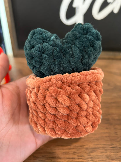 Crochet Popping Cactus