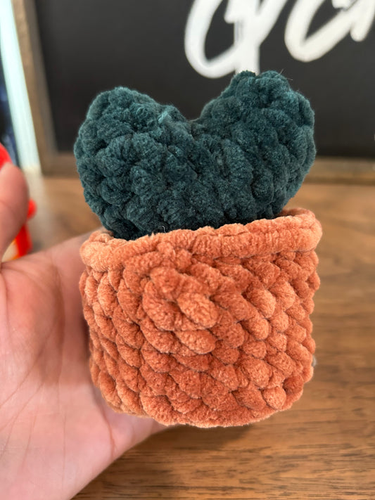 Crochet Popping Cactus