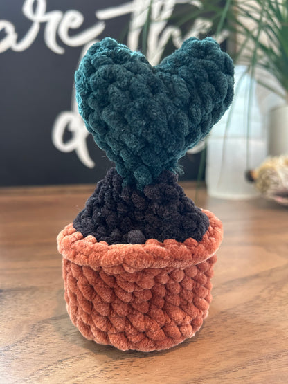 Crochet Popping Cactus